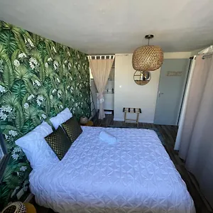  Appartement A Louer T2 France